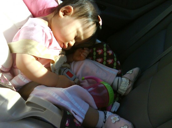 Missed Her AM Nap, Fell Asleep On The Way Home